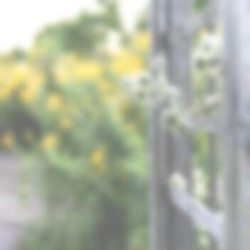 代表メッセージ