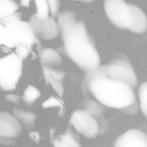 家族の時間を育む、その場所に。